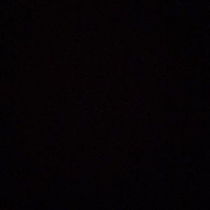 Meet your Posher, Elli